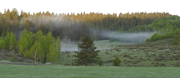 Fog over the pond