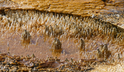 Formation near geyser