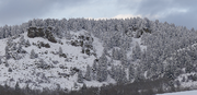 Fresh snow behind the house