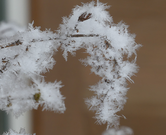 P1020215 Grown ice crystals