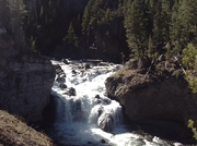 P1020290 Fall in Yellowstone