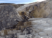 P1020420 Mammoth Hot Springs2